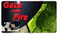 Gaza War Report: