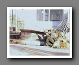 [Click to enlarge image]